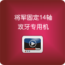 將軍固定14軸攻牙專用機